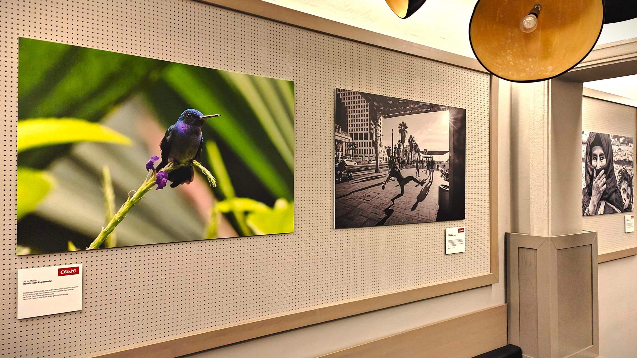drei Bilder der Anderswo-Reisefoto-Ausstellung an den Gang-Wänden im Orpheum Graz. Auf dem ersten Foto ist ein Vogel zu sehen, auf dem zweiten ein fußballspielender Einheimischer in Brasilien und auf dem dritten Foto ein Frau mit ihrem Kind. 